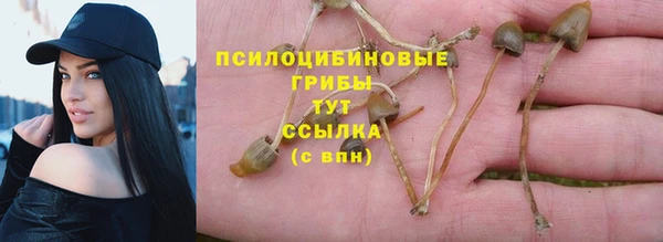 ECSTASY Абинск