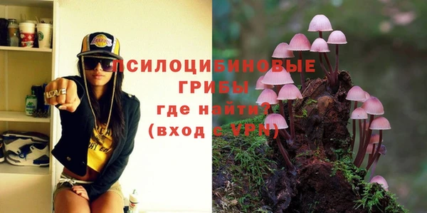 сатива Покачи