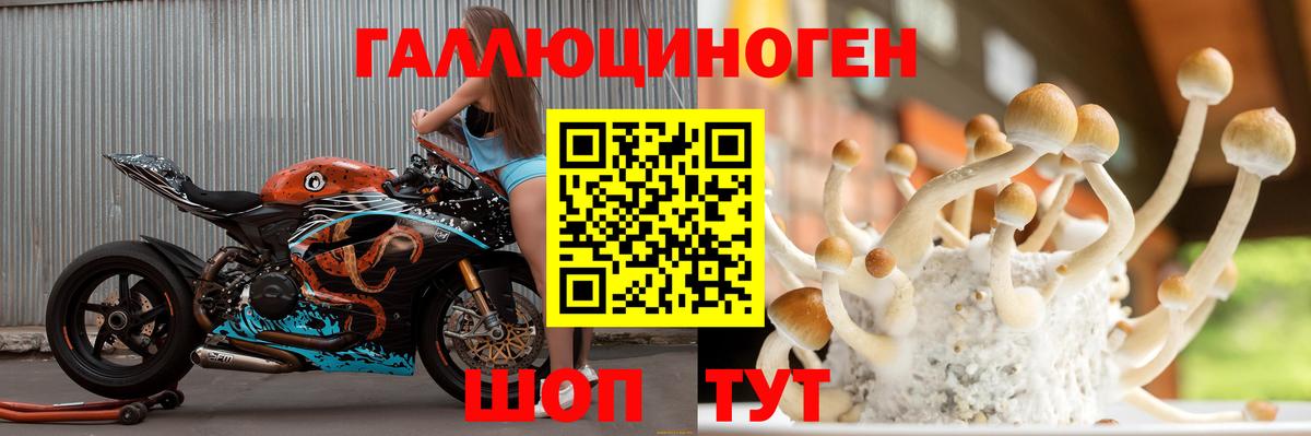 Галлюциногенные грибы прущие грибы  Вход с VPN  Галлюциногенные грибы ЛСД  Мурино 