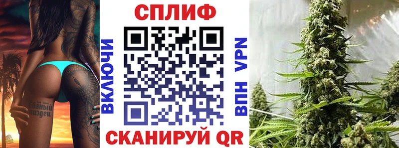 Бошки Шишки White Widow  mega зеркало  Мурино  где можно купить наркотик 